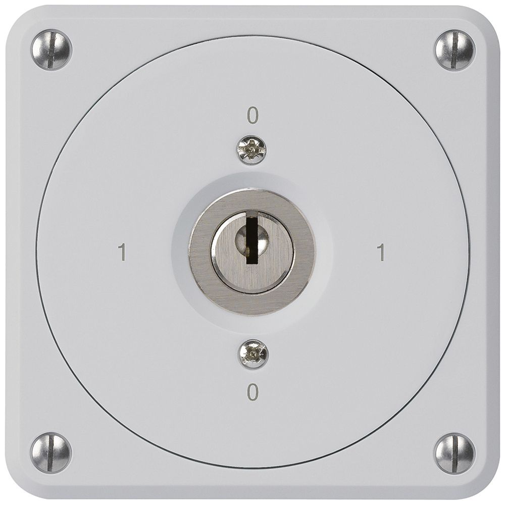 Interruttore a chiave INC robusto senza copertura 0/1P grigio per combinazione