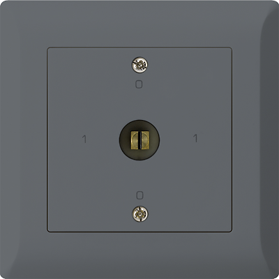 UP-Steckschlüsselschalter kallysto.line 0/1L anthrazit