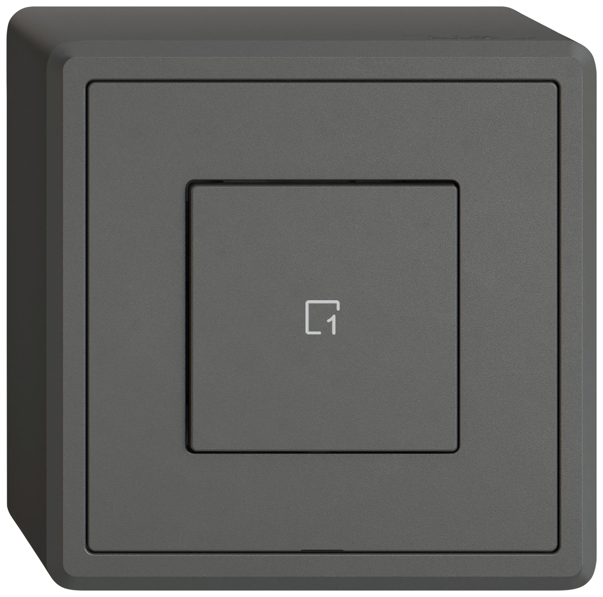 AP-Szenentaster EDIZIO.liv Wiser SNAPFIX® 1 Szene 1 Taste dgu