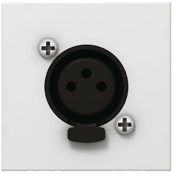 EB-Dose XLR MOS weiss 3L weiblich