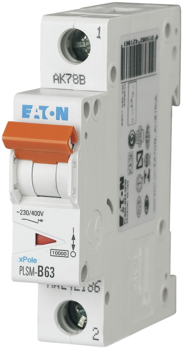 Disgiuntore PLSM-B63 1L