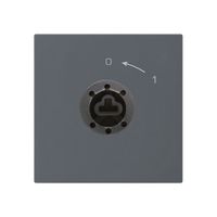 SchwenkTaster 0<-1/1L anthrazit kallysto für Schloss ohne Zylind