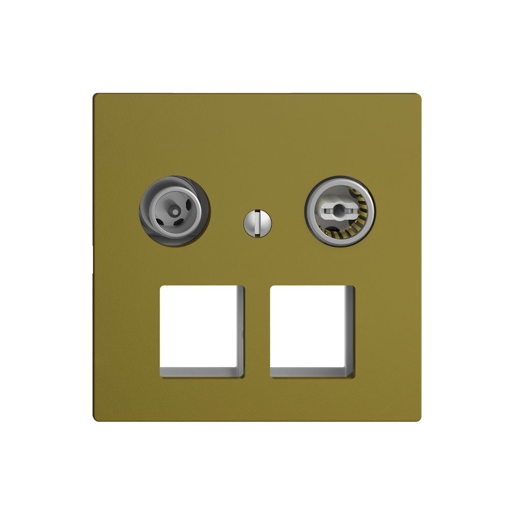 Multimediadose 4dB EDIZIOdue F, Stichdose, f.2×RJ45 Keystone, olive