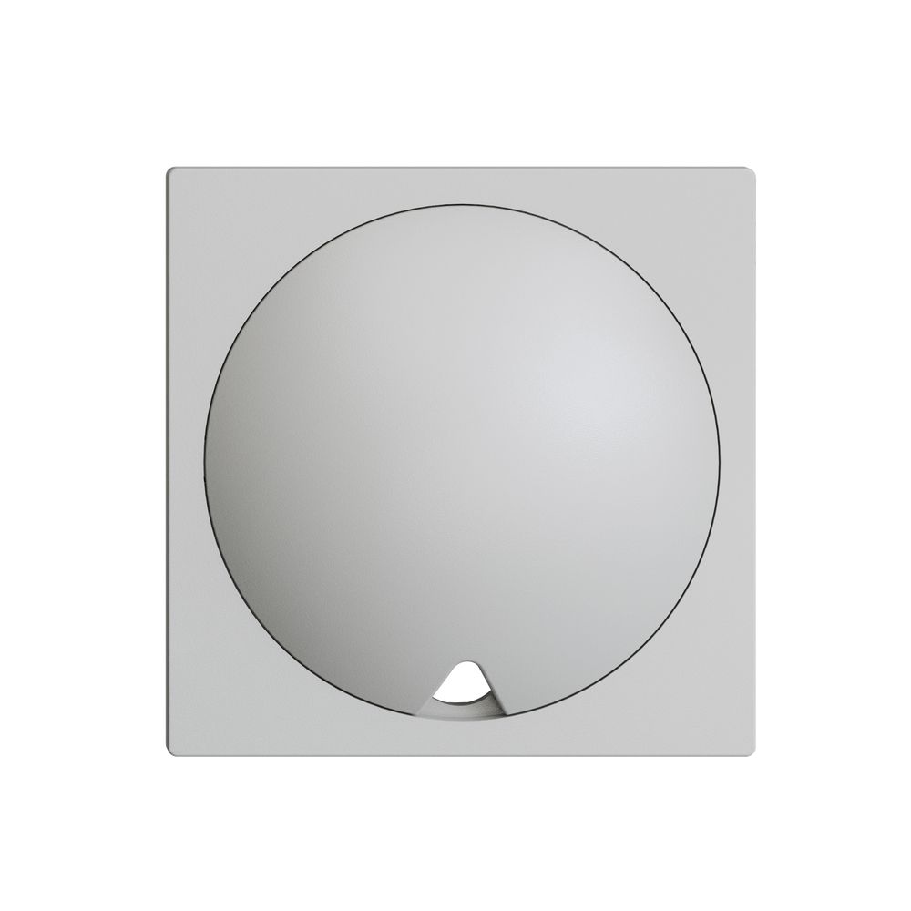 Frontset EDIZIOdue hellgrau für Zugtaster/-schalter