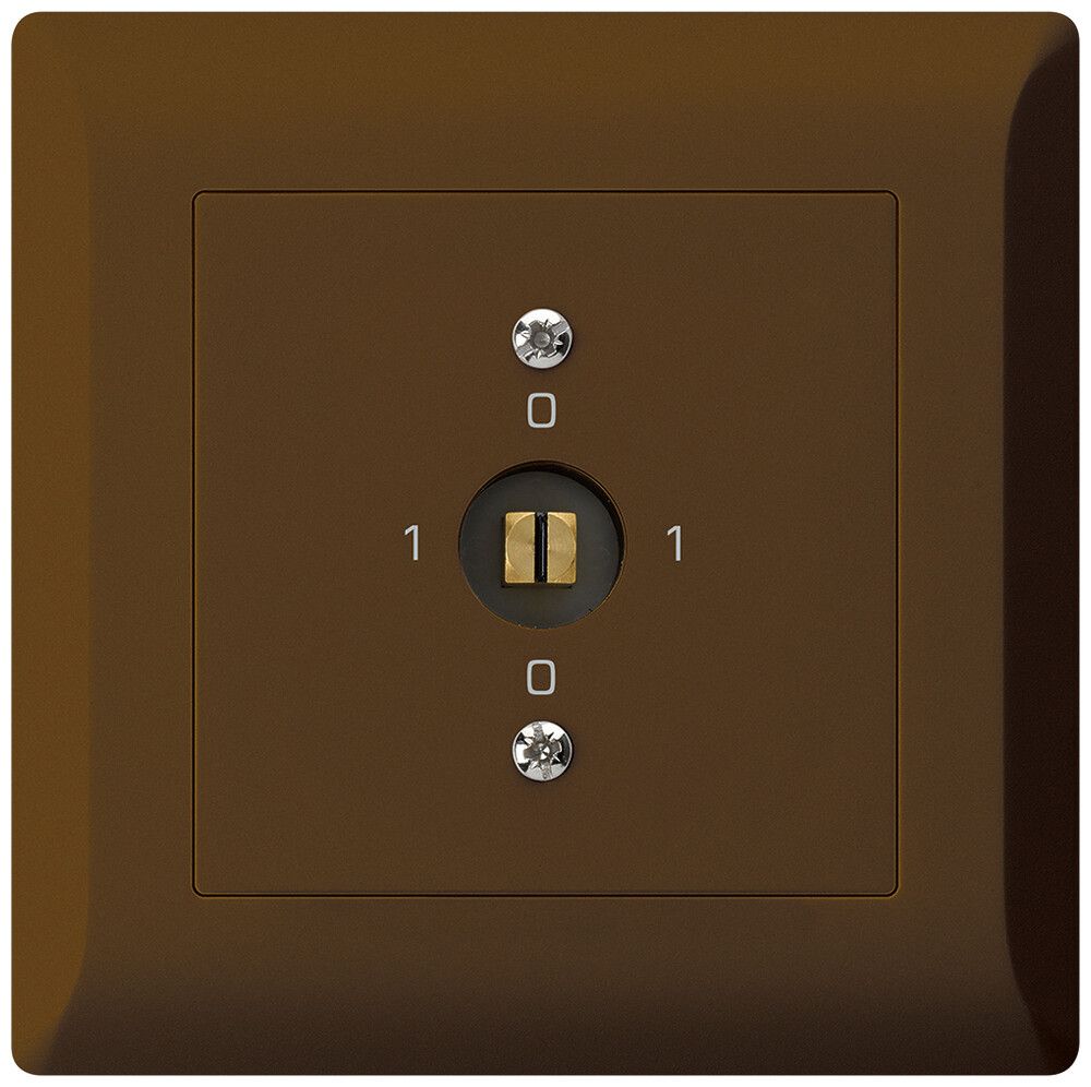 Interrupteur à clé à canon ENC kallysto.line 0/1L brun