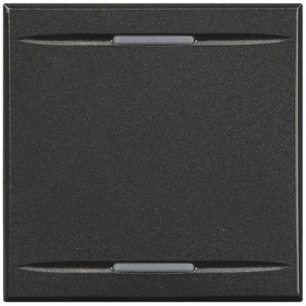 Wippe Axolute für 2 Module anthrazit ohne Symbol