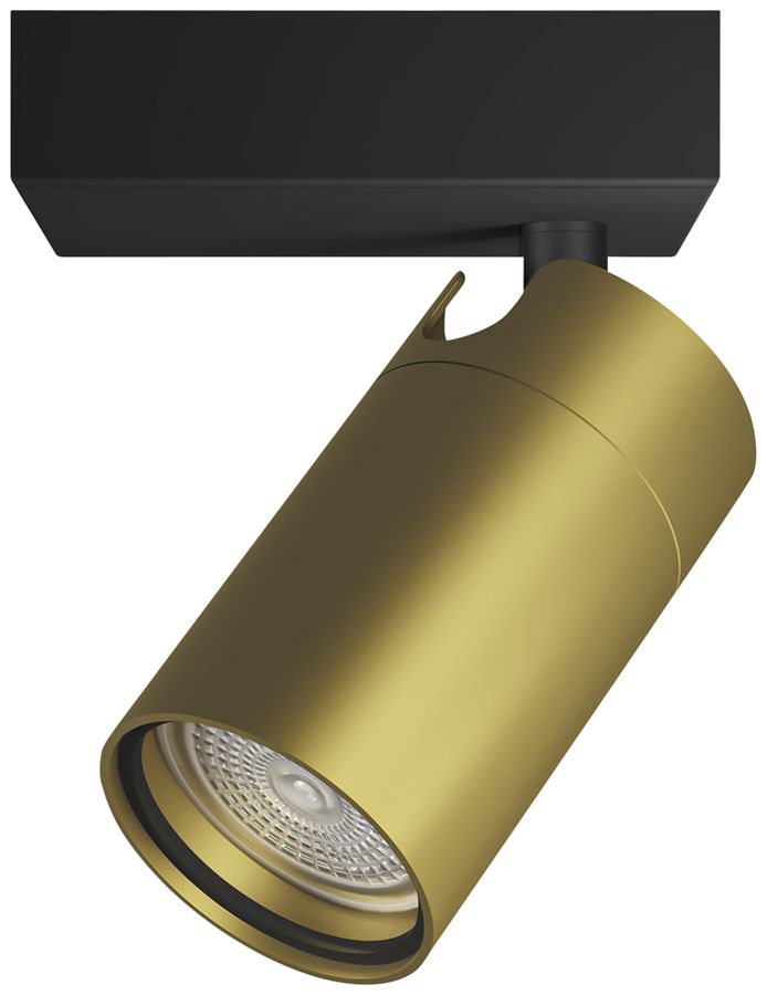 Spot Philips Idris GU10 1×5W IP44 109×100mm schwarz/Messing