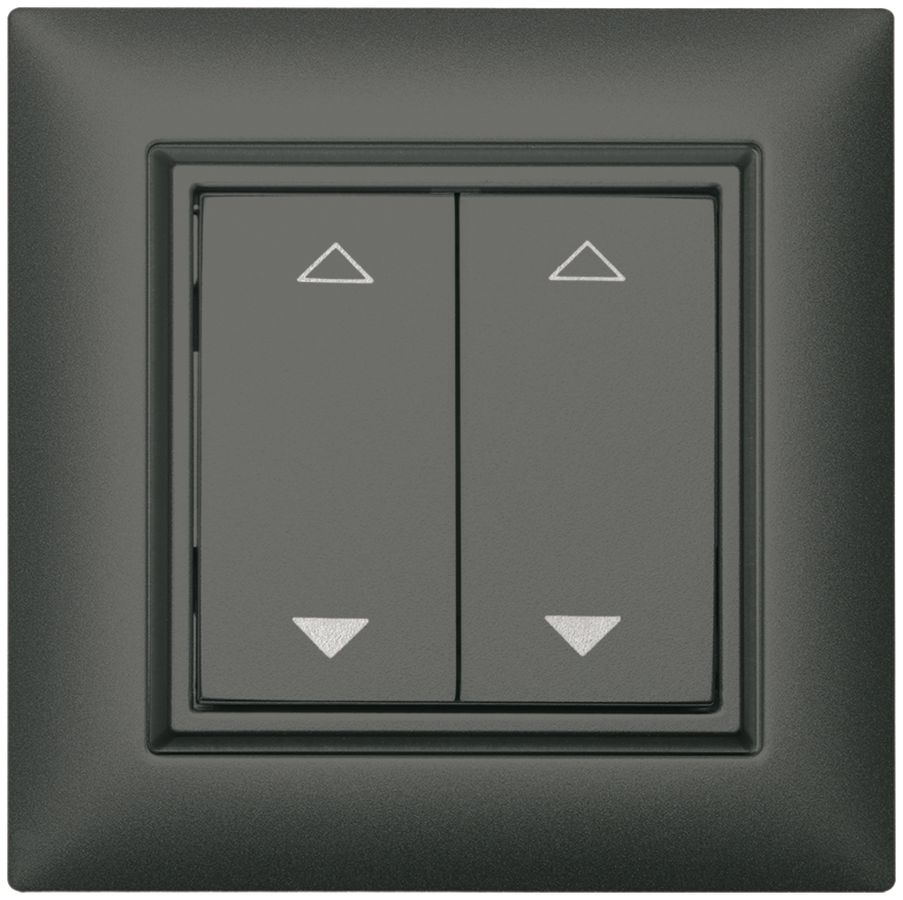 AP-RF-Taster ALADIN EnOcean EDIZIOdue, 2-fach, dunkelgrau, V/Λ