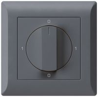 UP-Drehschalter kallysto.line 0/1L anthrazit mit Drehgriff