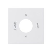 Kit frontale per interruttore chiave S2 60×60 kallysto 0-Hand-0-Aut.bianco