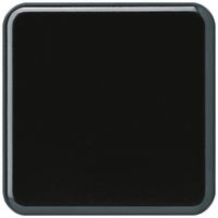 Abdeckplatte basico 1×1 ohne Bohrung schwarz