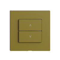 Nebenstelle 1K/2T zu Storenschalter Edue Wiser olive