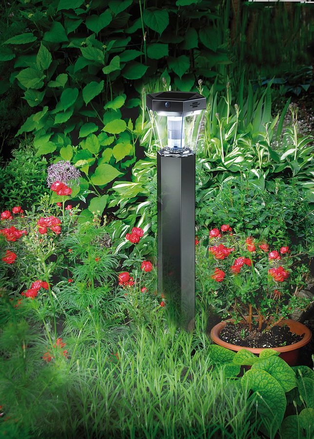 Borne lumineuse LED Brennenstuhl SOL FL 13007 SEN 91lm IP44 590×120×120mm arg