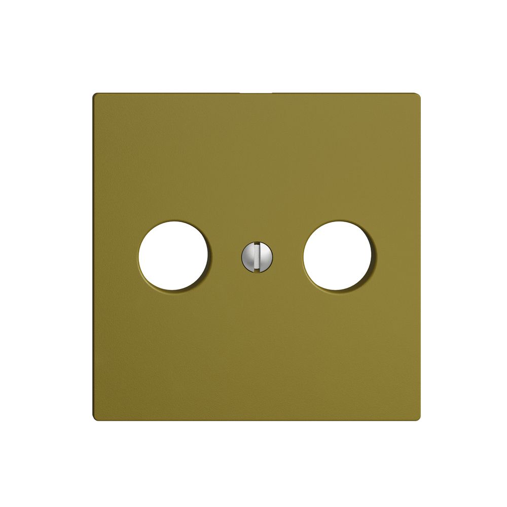 Frontplatte EDIZIOdue olive für R/TV