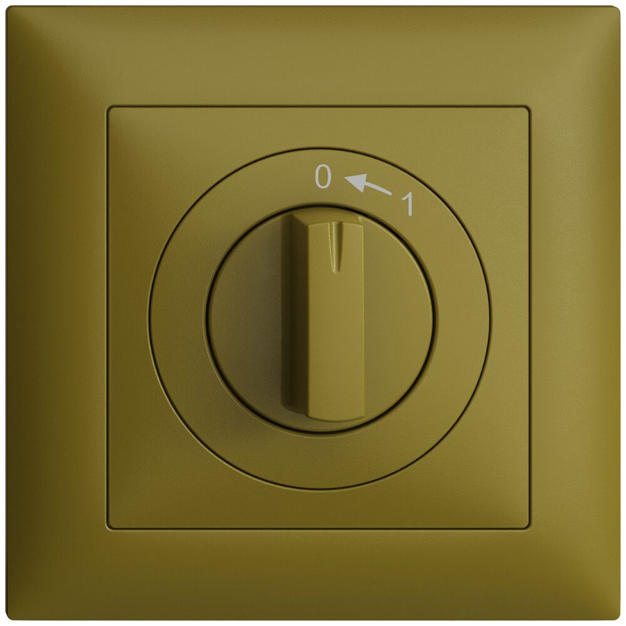 Frontset EDIZIOdue 0<-1 olive 88×88mm für Schwenktaster