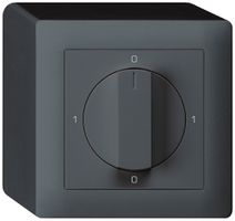 AP-Drehschalter kallysto 0/2L anthrazit mit Drehgriff