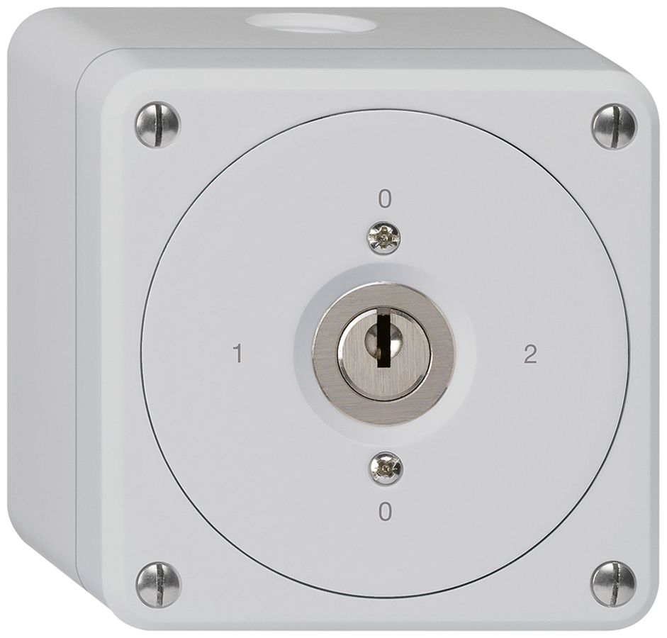 Interruttore a chiave AP robusto senza copertura 2/1P grigio