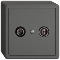 AP-Antennendose TV-R EDIZIO.liv SNAPFIX® Durchgangsdose 19dB dgu