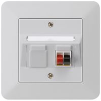 Prise ENC audio kallysto.trend 1×gris clair borne à étrier pour 1 haut-parleur