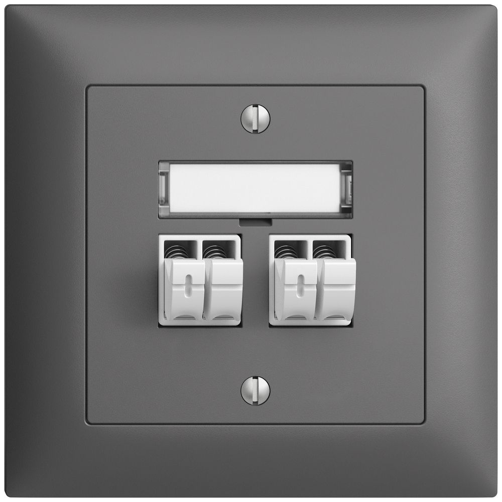 UP-Audiodose Push Type EDIZIOdue FMI, 2×, Beschriftungsset, dunkelgrau