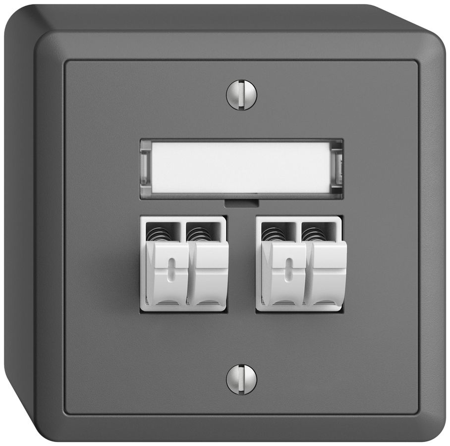 AP-Audiodose Push Type EDIZIOdue FX, 2×, Beschriftungsset, dunkelgrau