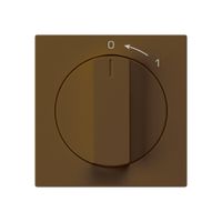 Schwenktaster 0<-1/2L braun kallysto mit Drehgriff