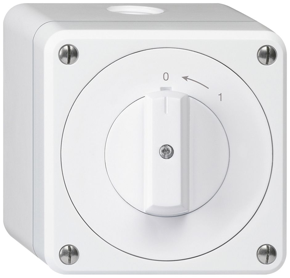 AP-Schwenktaster robusto IP55 weiss 2P