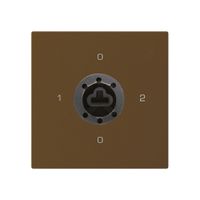 Intérieur interrupteur à clé kallysto 2/1L brun p.serrure de sûreté s.cylindre