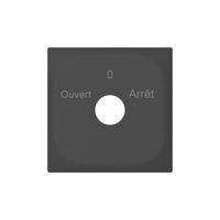 Plaque frontale SIDUS avec gravure anthracite
