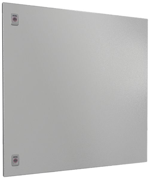 Porte Rittal SV 9682.188 800×800mm pour VX gris IP54