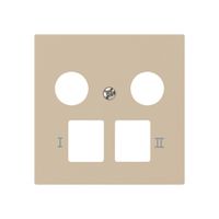 Placca frontale kallysto per R&M HWS beige 2 fori multimedia