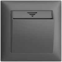 UP-Schalter Hotelcard 250VAC 1L EDIZIOdue dunkelgrau