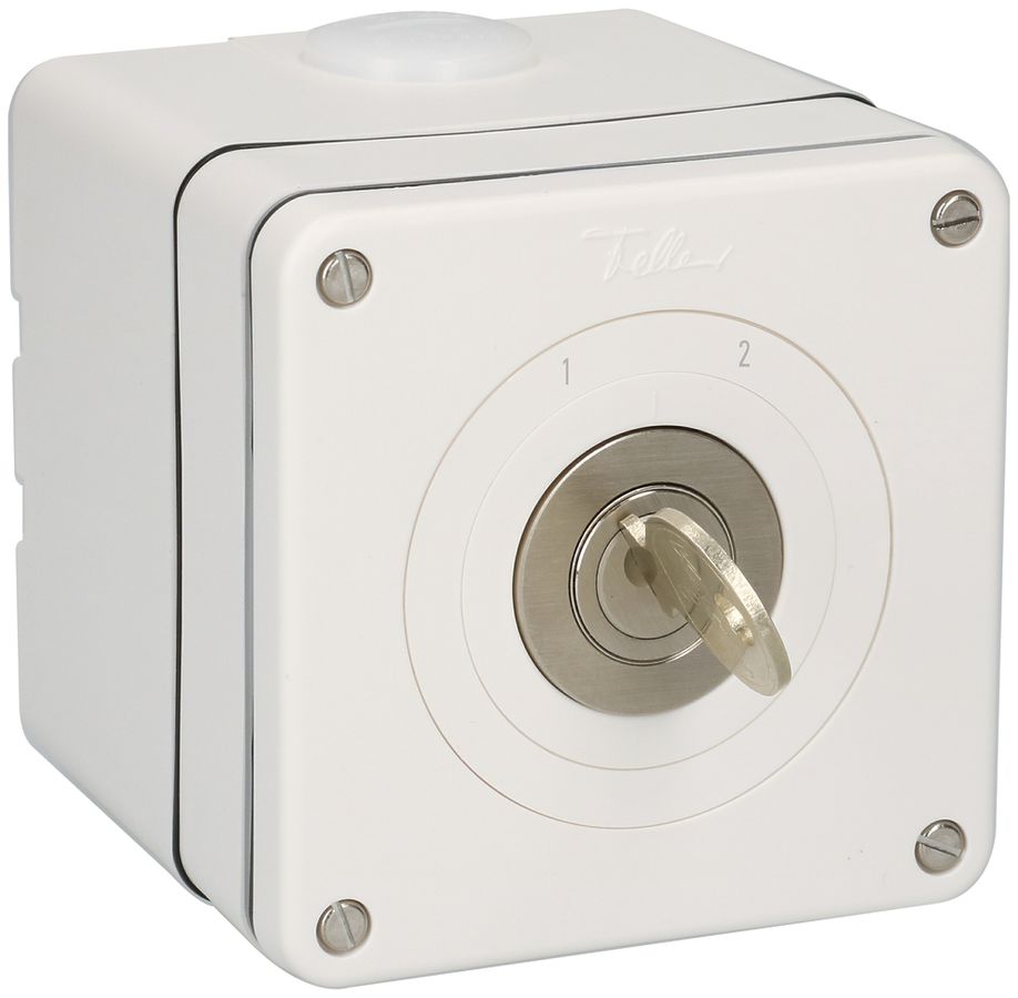 AP-Umschalter NEVO 2P, IP21, 1-2, Zyl.1262KA, Abz.11-1h, Plan 5000, ws