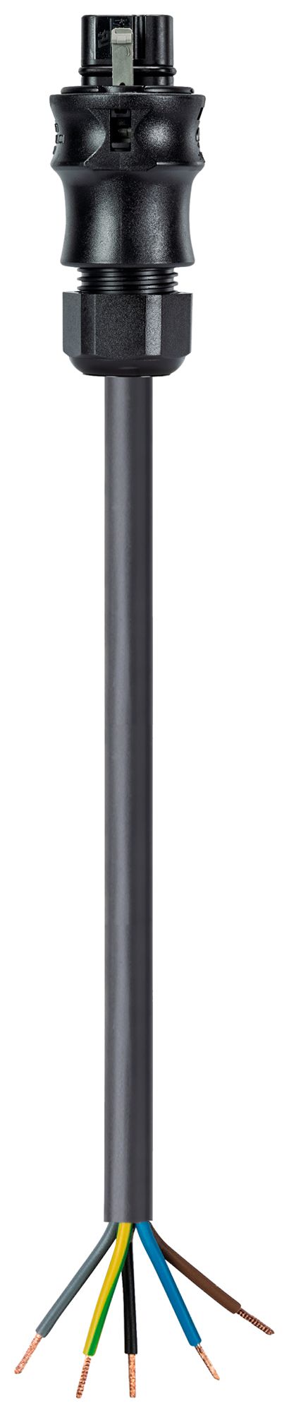 Anschlussleitung Wieland Electric RST25i5 5P 2.5mm² 400V/20A 500mm