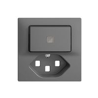 Frontset 60×60mm EDIZIOdue dunkelgrau T23 mit Linse für Kleinkombi