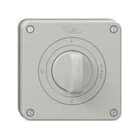 NUP-Drehschalter NEVO, 1/1 L, mit Drehgriff, KS, 0-1-1+2-2, lichtgrau