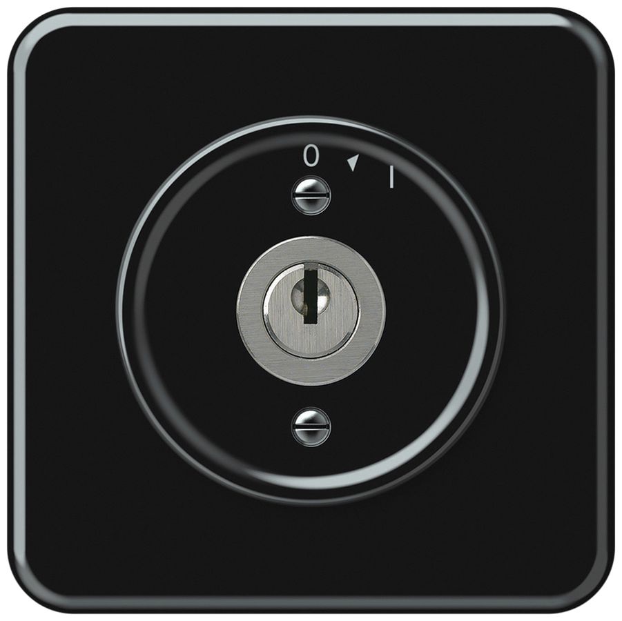 UP-Schwenktaster origin mit Zylinder 1P 0<1 10A 230V 92×92mm schwarz