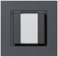 Pulsante universale INC 2×kallysto.pro con LED antracite