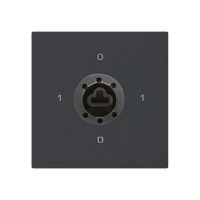 Intérieur interrupteur à clé kallysto 0/3L noir p.serrure de sûreté s.cylindre