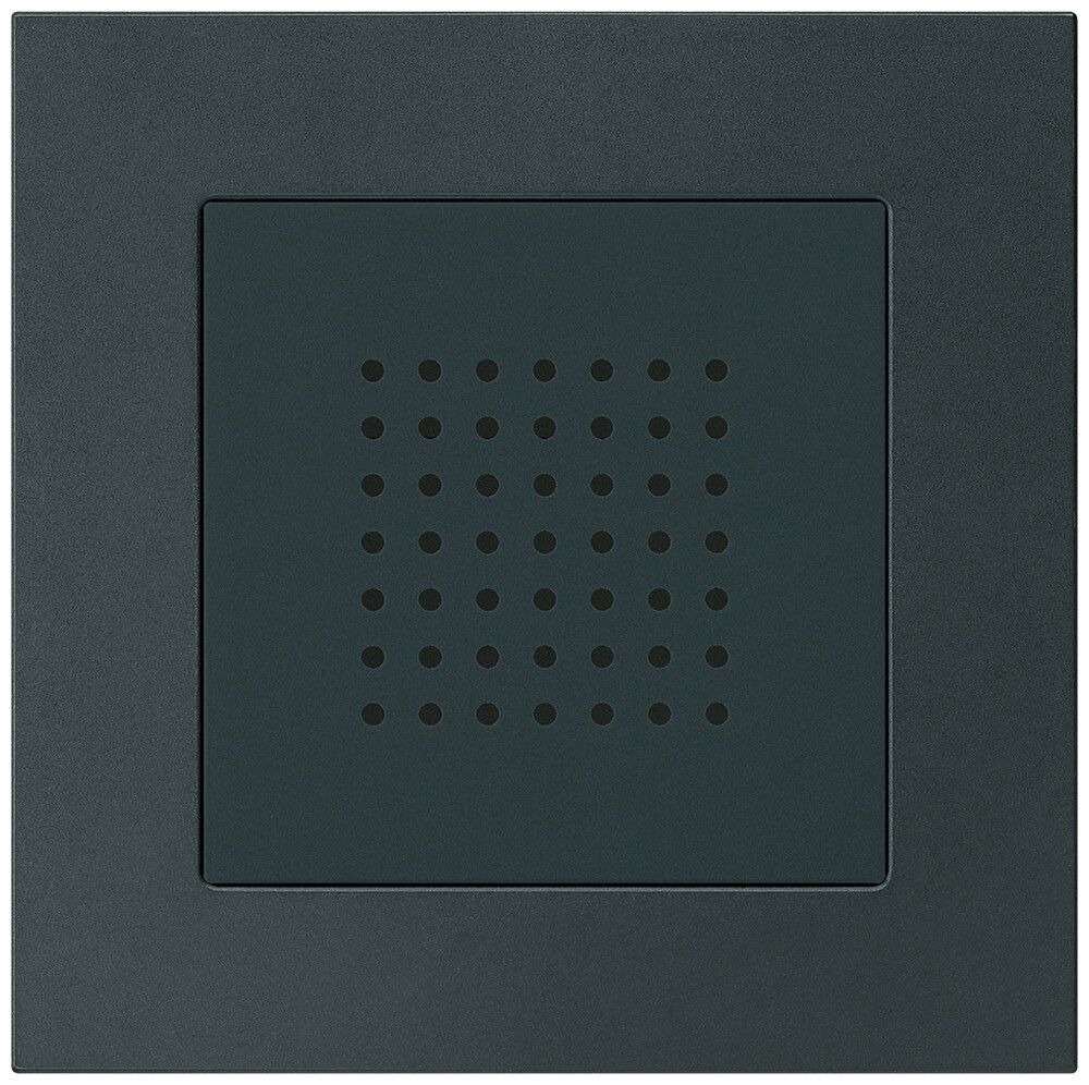 UP-Türgong kallysto.pro 12V schwarz