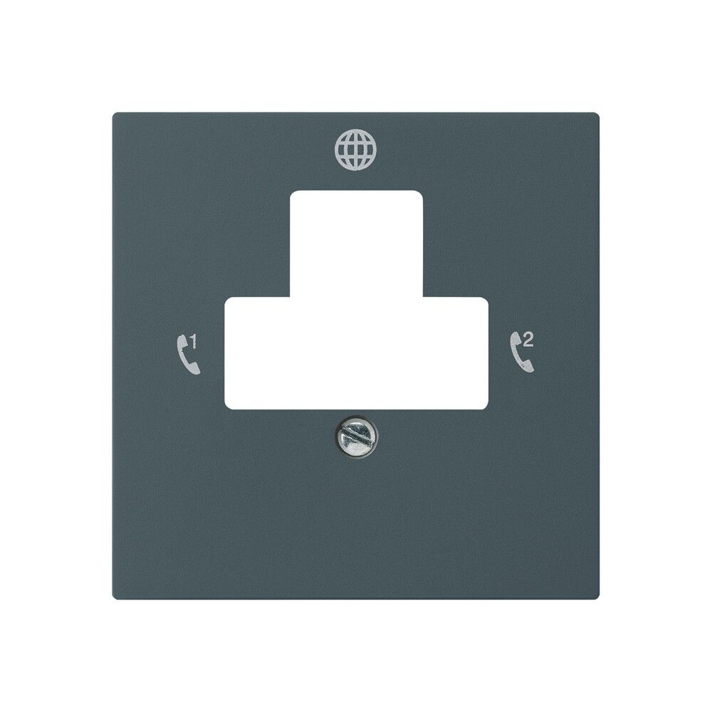 Placca frontale kallysto per presa di ritorno 2 DSL antracite