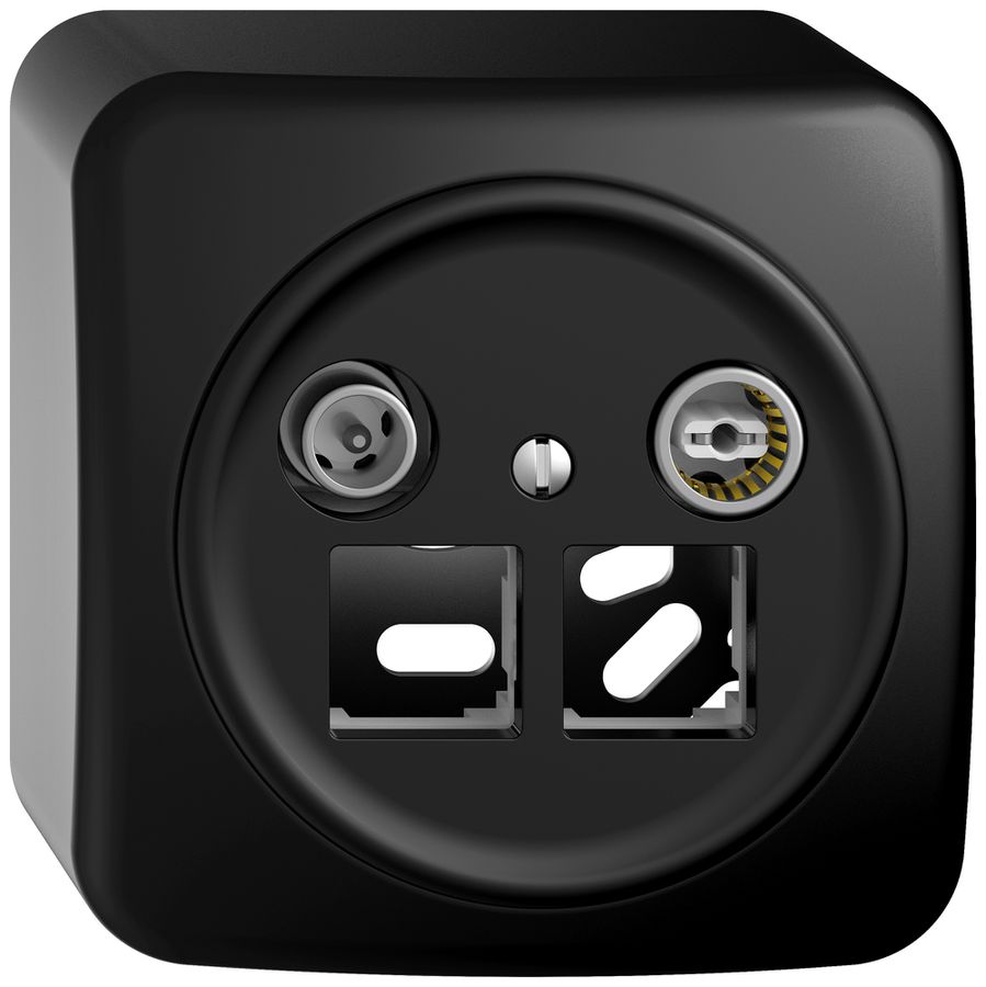 AP-Multimediadose TV-R STANDARDdue SNAPFIX® EASYNET f.2×RJ45 S-One 4dB sz