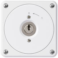 UP-Schlüsselschwenktaster robusto weiss ohne Deckel 1P