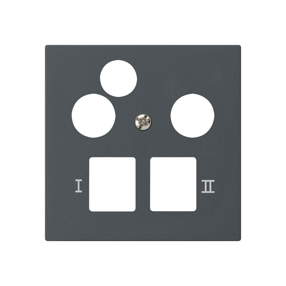 Plaque frontale kallysto pour R&M HWS anthracite 3 trous données multimédia