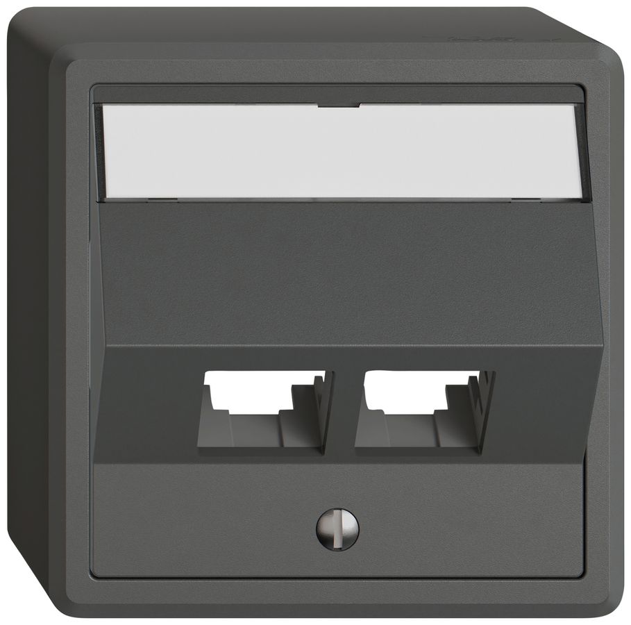 AP-Montageset EDIZIO.liv EASYNET S-One SNAPFIX® schräg 2×RJ45 dgu