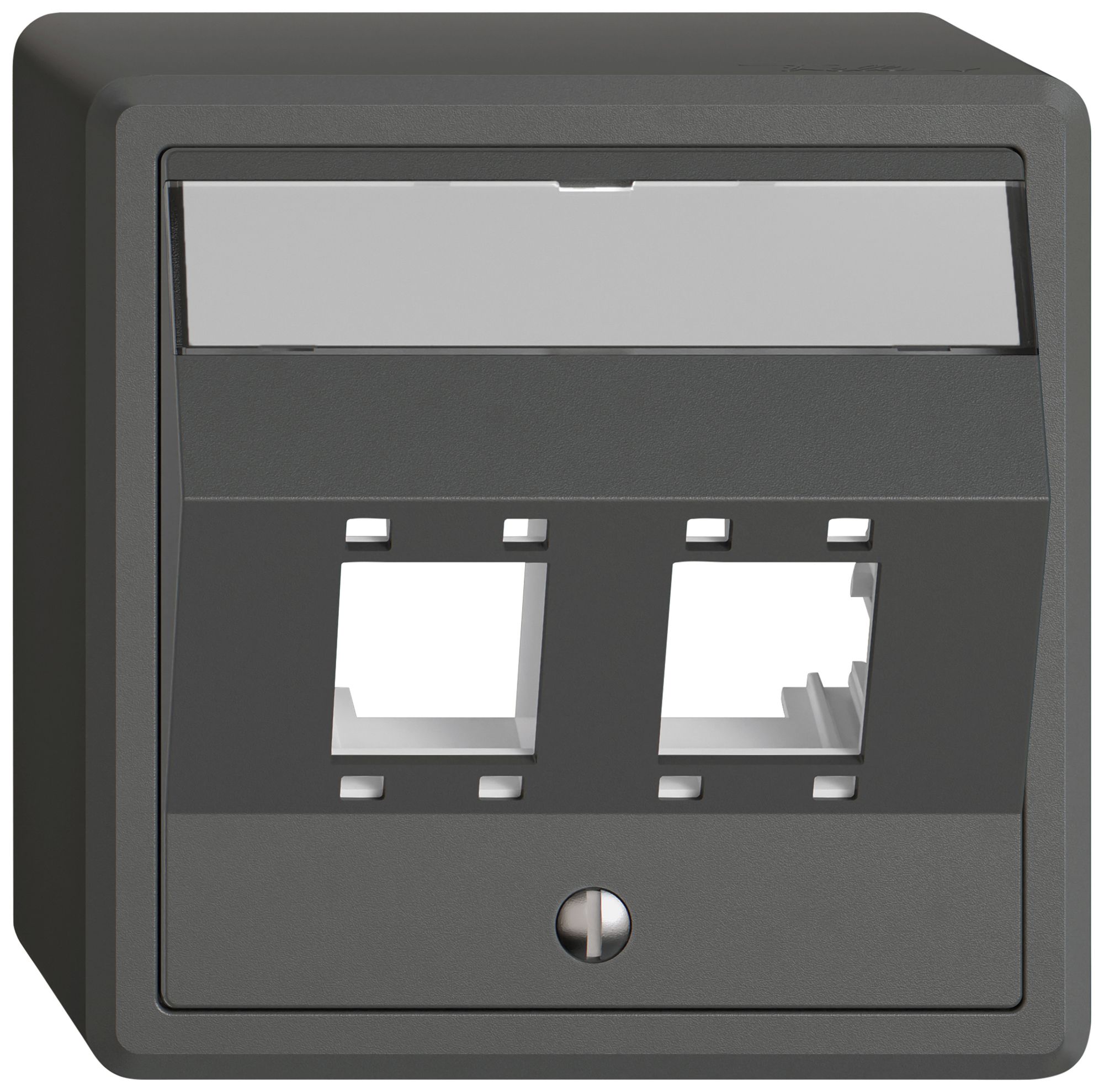 Kit di montaggio AP EDIZIO.liv SNAPFIX® per freenet cat.5e/6 2× grs