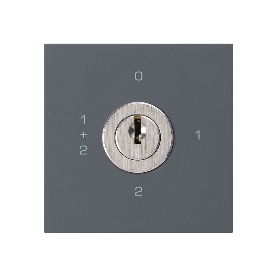 Einsatz zu Schlüsselschalter kallysto 1/1L anthrazit mit Schloss Kaba 8