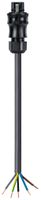 Anschlussleitung Wieland Electric RST25i5 5P 2.5mm² 400V/20A 1000mm