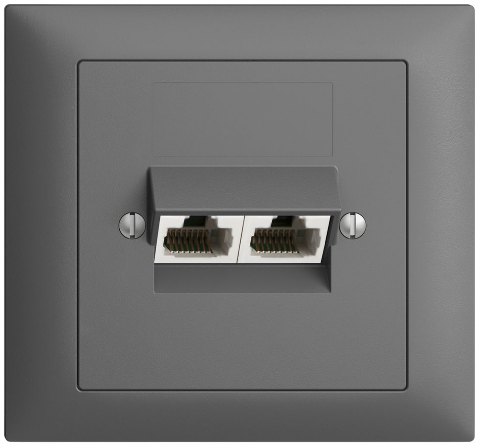 EB-Dose 2×RJ45/u 4P getr. EDIZIOdue dunkelgrau, ITplus