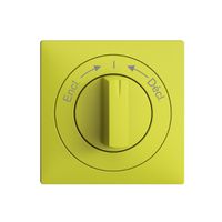 Frontset EDIZIOdue Encl.->I<-Décl. lemon 60×60mm für Schwenktaster